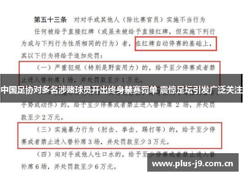 中国足协对多名涉赌球员开出终身禁赛罚单 震惊足坛引发广泛关注
